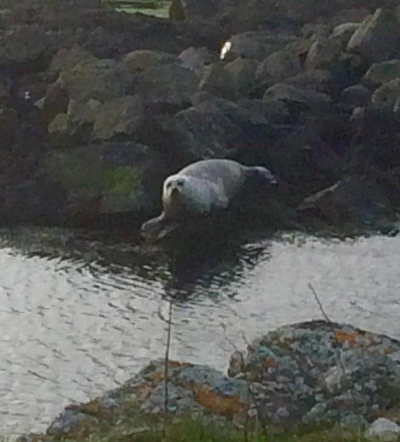 Burnside Lodge Portnahaven Buitenkant foto