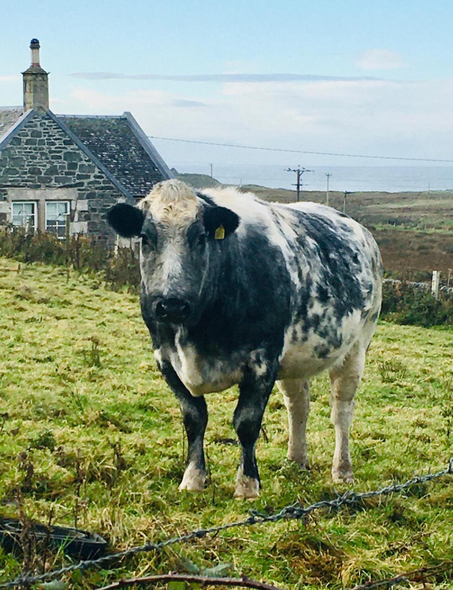 Burnside Lodge Portnahaven Buitenkant foto