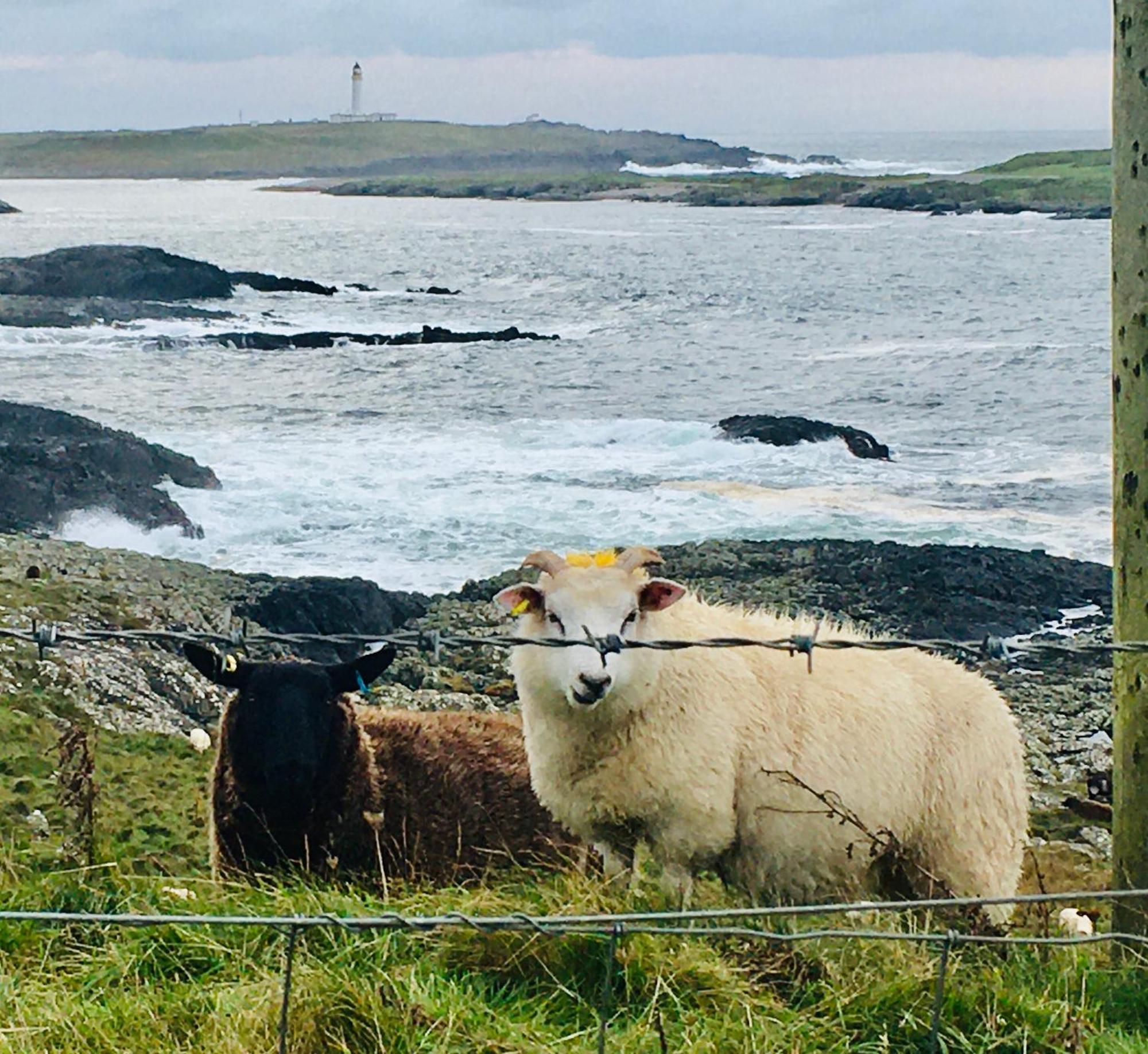 Burnside Lodge Portnahaven Buitenkant foto