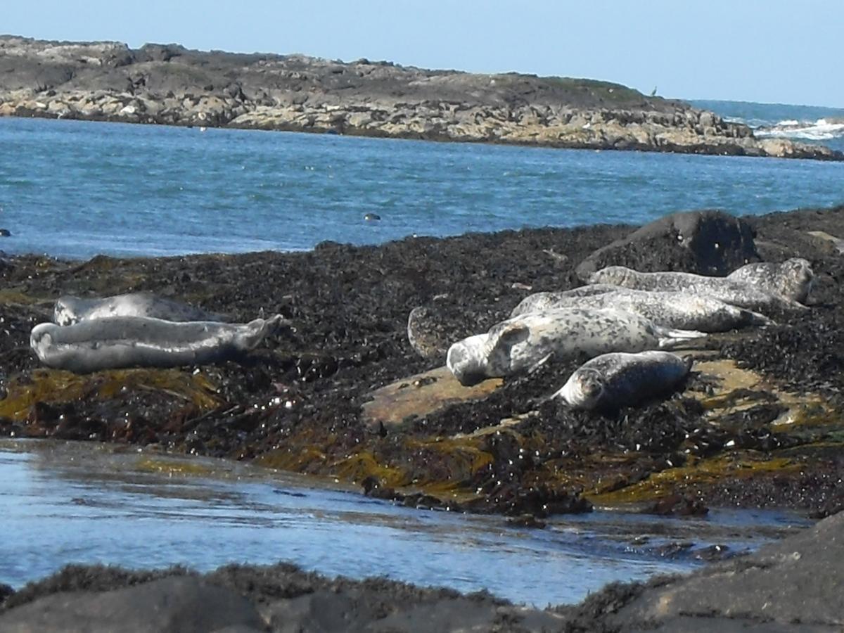 Burnside Lodge Portnahaven Buitenkant foto