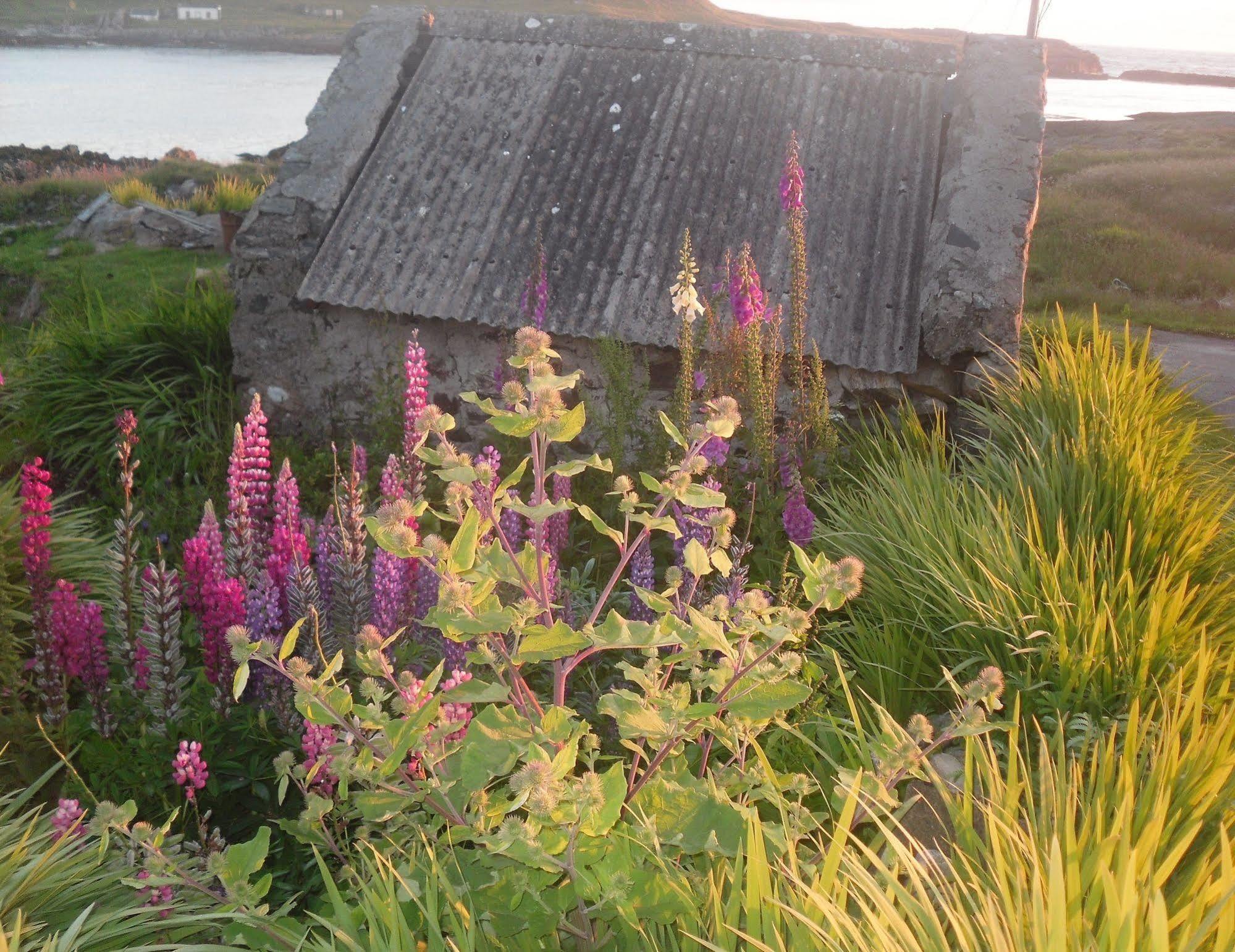 Burnside Lodge Portnahaven Buitenkant foto